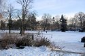 Bürgerpark im Winter